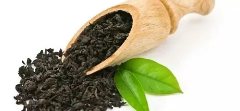 تصویر 3 از قیمت خرید چای قلم درشت + فروش ویژه